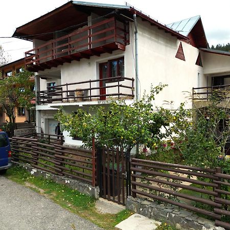 Vila Nik Buşteni Exterior foto