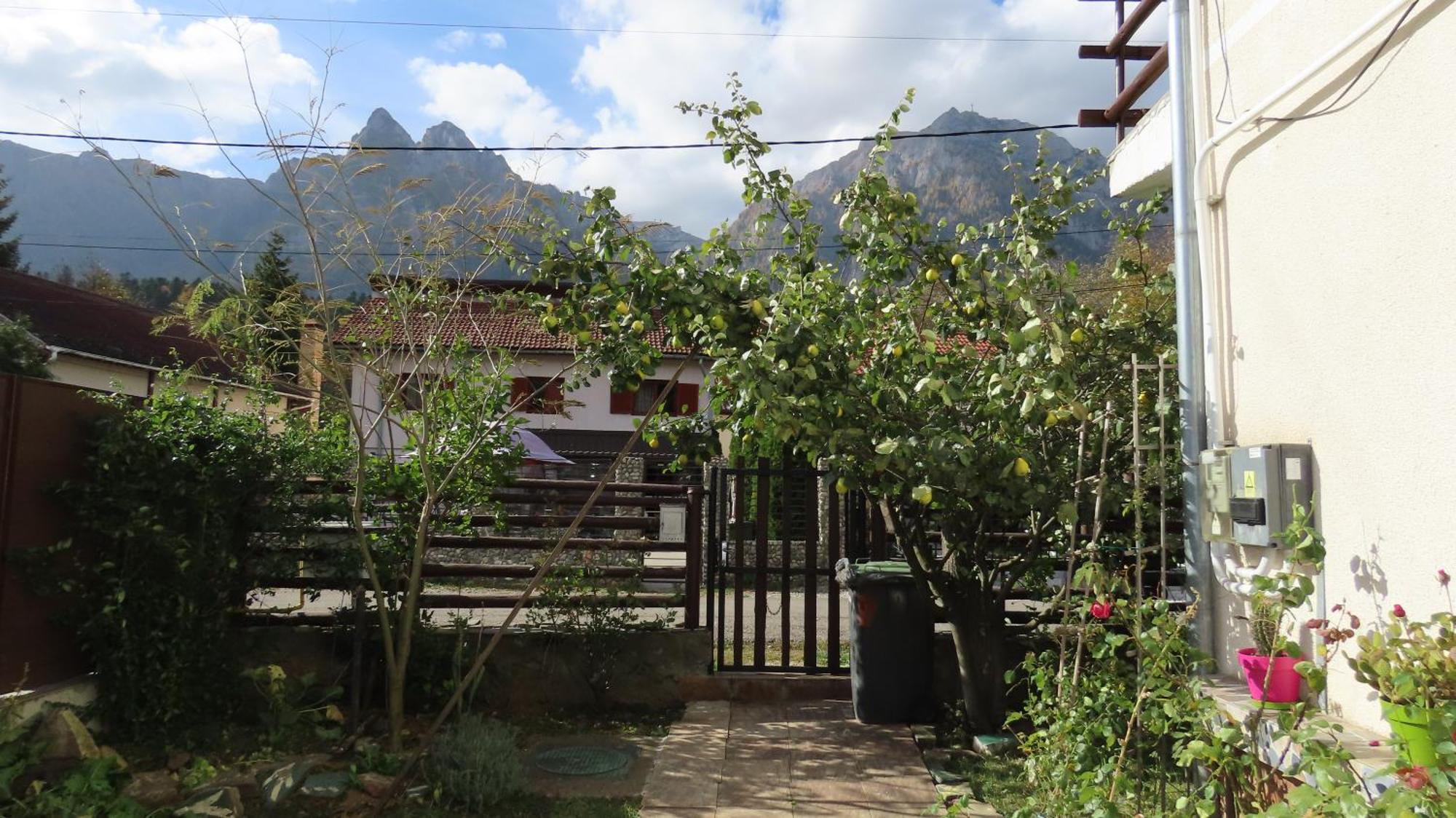 Vila Nik Buşteni Exterior foto